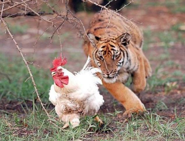 Dünya'dan ilginç fotoğraflar