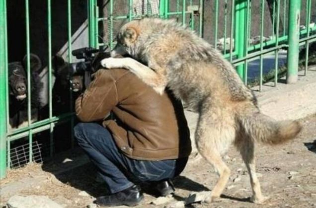 Dünya'dan ilginç fotoğraflar