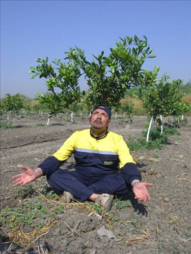 Yogi Kazım yıllara meydan okuyor