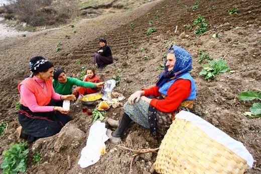 Karadeniz'in muhteşem örgüsü