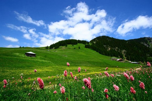 Karadeniz'in muhteşem örgüsü