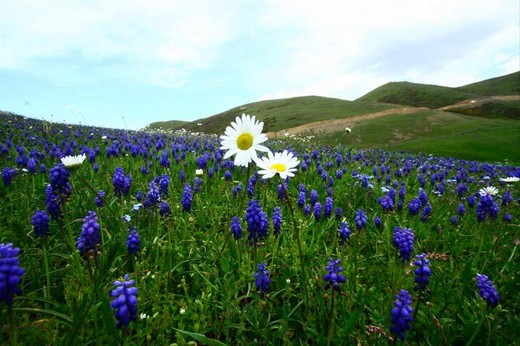 Karadeniz'in muhteşem örgüsü