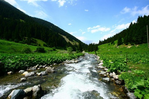 Karadeniz'in muhteşem örgüsü