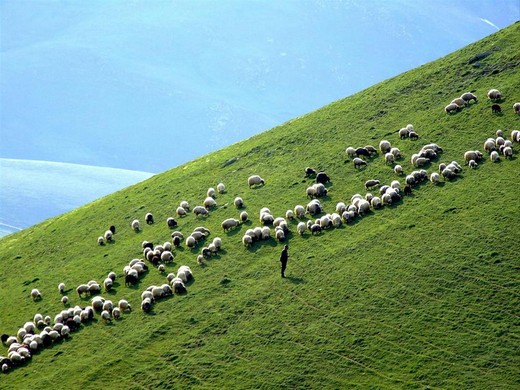 Karadeniz'in muhteşem örgüsü