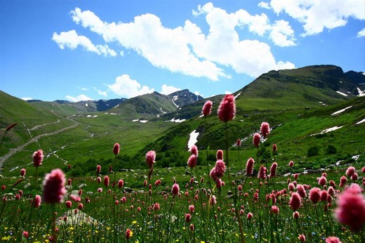 Karadeniz'in muhteşem örgüsü