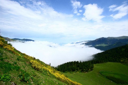 Karadeniz'in muhteşem örgüsü