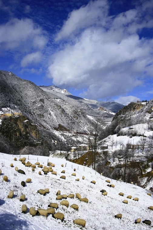 Karadeniz'in muhteşem örgüsü