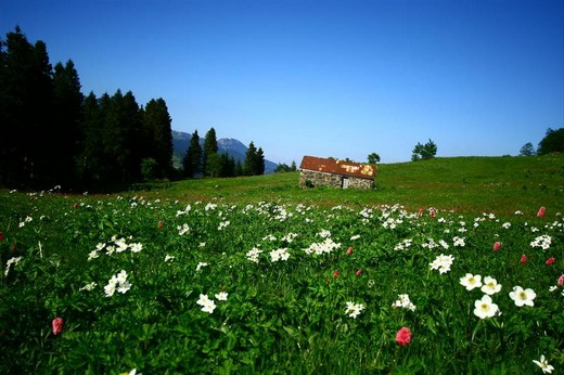 Karadeniz'in muhteşem örgüsü