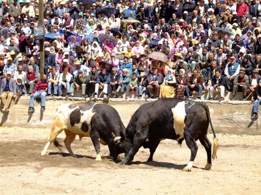 Karadeniz'in muhteşem örgüsü