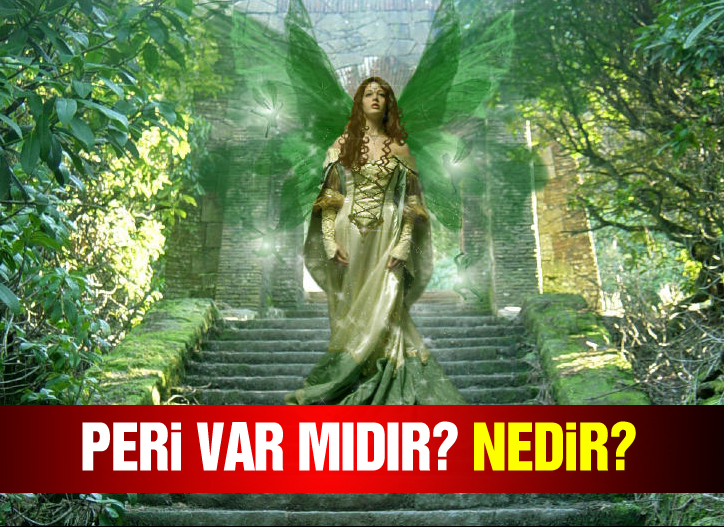 Cinler nasıl bir görünüme sahiptirler?