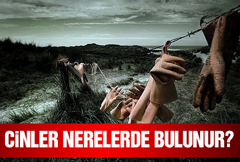 Cinler nasıl bir görünüme sahiptirler?