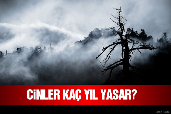 Cinler nasıl bir görünüme sahiptirler?