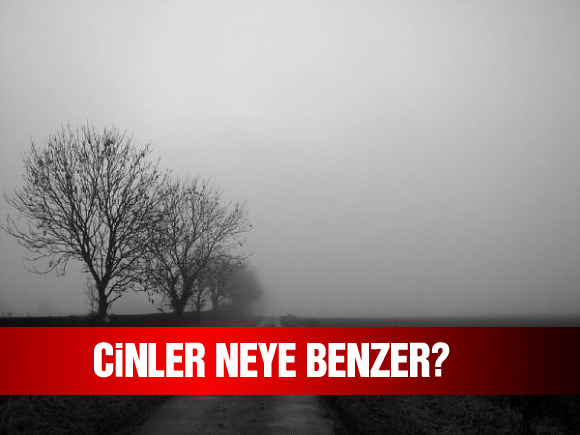 Cinler nasıl bir görünüme sahiptirler?