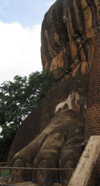 Sri Lanka'nın Aslan Kayası