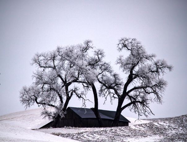 2012'nin en iyi seyahat fotoğrafları