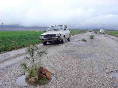 Yurdum insanı her yerde