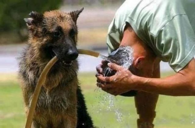 En çok bakılan fotoğraflar