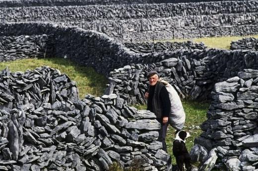 Dünyanın en pahalı benzinini kullanan ülkeleri