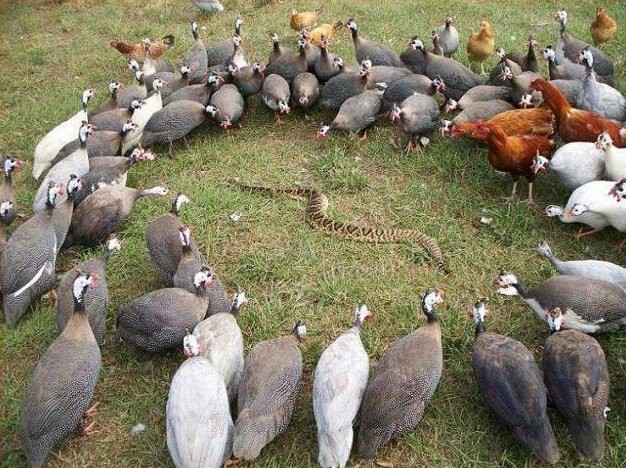 Tüm zamanların en çok tıklanan fotoğrafları