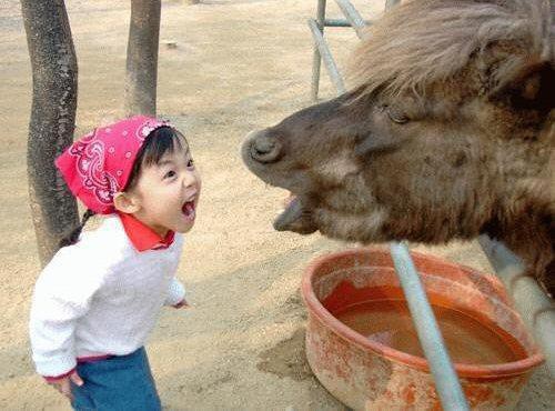 Tüm zamanların en çok tıklanan fotoğrafları