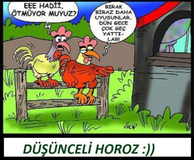 Gülmekten öldüren karikatürler