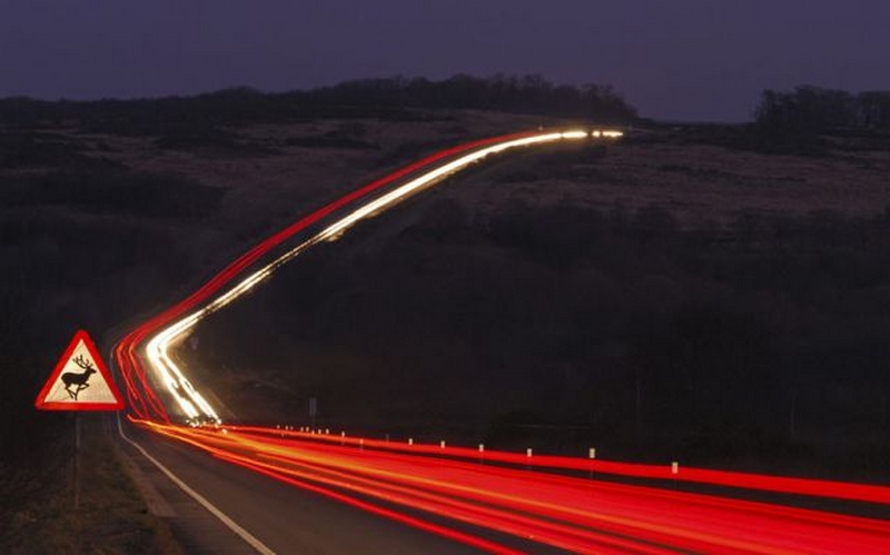 2012 Vahşi yaşamdan ödüllü fotoğraflar