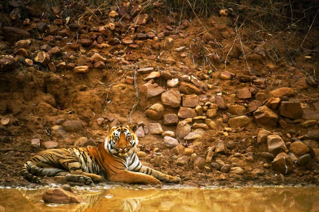 National Geographic 2012 en beğenilen fotoğraflar