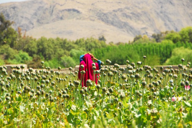 National Geographic 2012 en beğenilen fotoğraflar