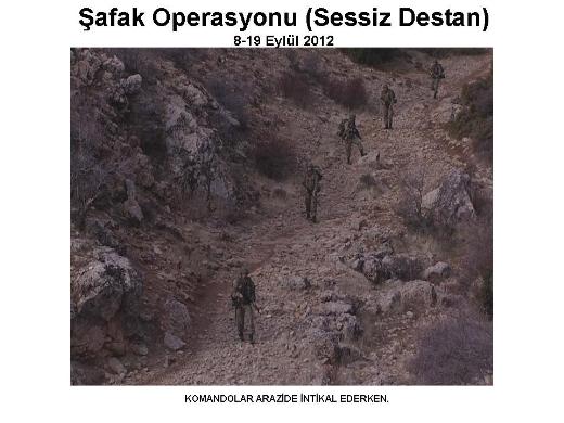 Şemdinli'de şafak operasyonu