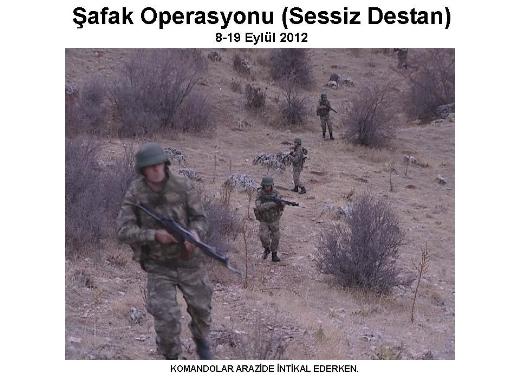 Şemdinli'de şafak operasyonu