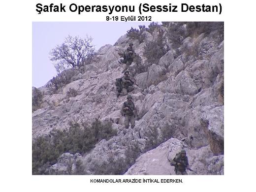 Şemdinli'de şafak operasyonu