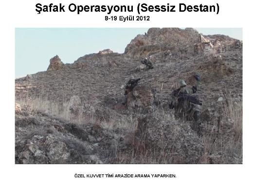 Şemdinli'de şafak operasyonu