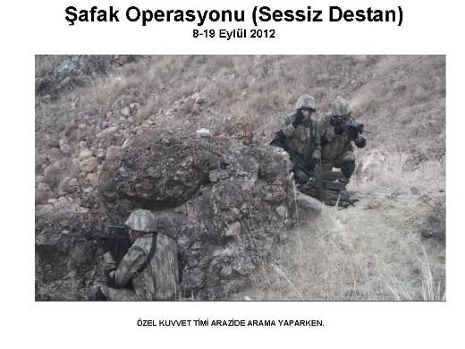 Şemdinli'de şafak operasyonu