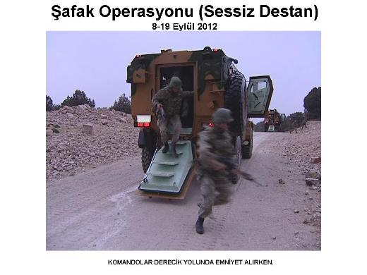 Şemdinli'de şafak operasyonu