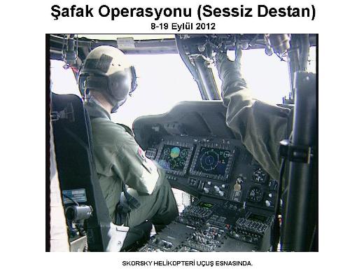 Şemdinli'de şafak operasyonu