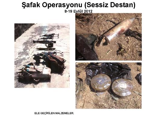 Şemdinli'de şafak operasyonu