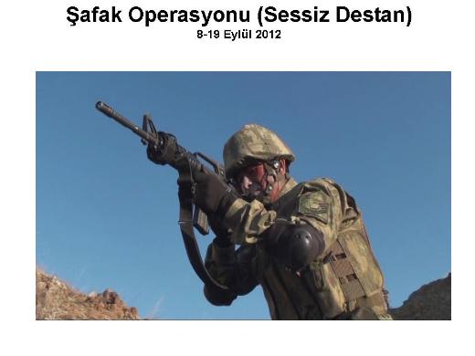 Şemdinli'de şafak operasyonu