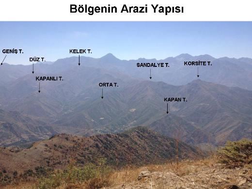 Şemdinli'de şafak operasyonu