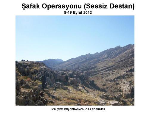 Şemdinli'de şafak operasyonu