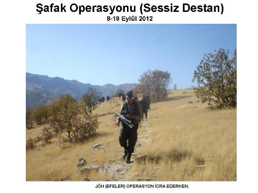 Şemdinli'de şafak operasyonu