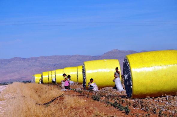 İşçi bulamadı makine aldı