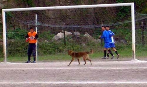 Yurdum insanı şu çılgın Türkler