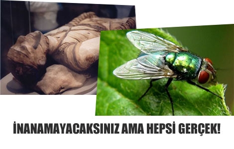 İnanamayacaksınız ama hepsi gerçek!