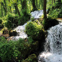 Türkler'in yeni tatil gözdesi