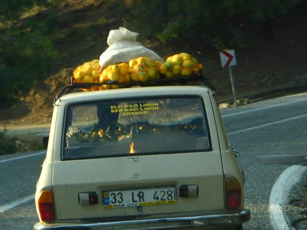 Yurdum İnsanı