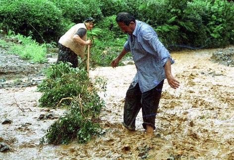 Rize'de sel baskını