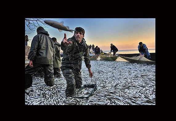 Türk fotoğrafçıların başarısı