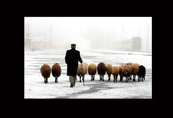 Türk fotoğrafçıların başarısı