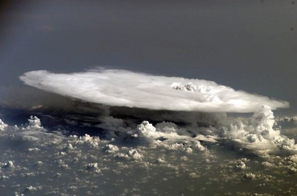 Nasa'dan nisan ayı fotoğrafları