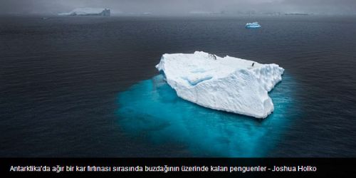 National Geographic 2012'nin en iyi 36 fotoğrafını seçti